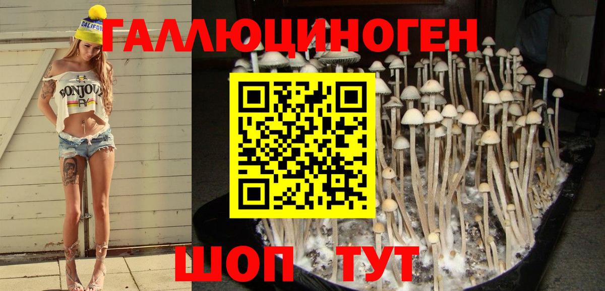 Псилоцибиновые грибы ЛСД Семилуки